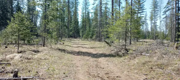 151XX E Oregon Rd #Parcel 49111.9068, Elk, WA 99009