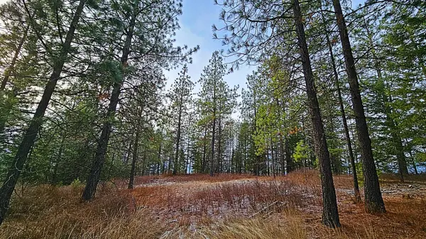26XX B Burnt Valley Rd, Chewelah, WA 99109-0000