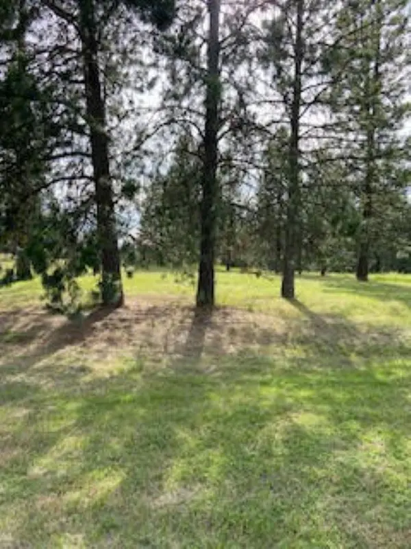 108 S Main St, Springdale, WA 99173
