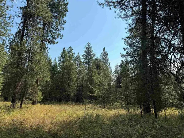 31912 N Division Rd, Deer Park, WA 99006