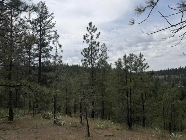 20xxx N Brooks Rd, Spokane, WA 99224