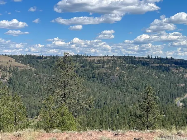 31805 Ruffed Grouse E Dr, Davenport, WA 99122