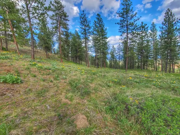 1612 Palmer LOOP, Chewelah, WA 99109