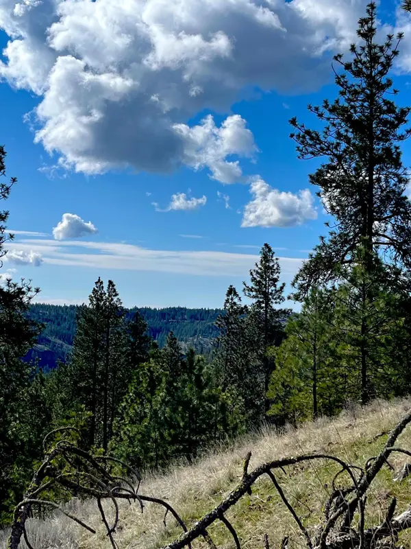 34430 Partridge N Ln, Davenport, WA 99122