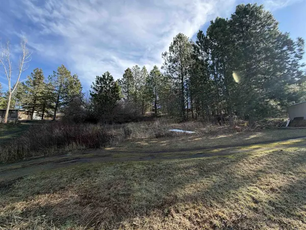 NKA E Stringham Rd, Rockford, WA 99030