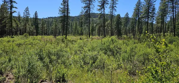 20X Lynx Rd, Inchelium, WA 99138