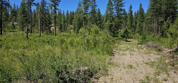 20X Lynx Rd, Inchelium, WA 99138