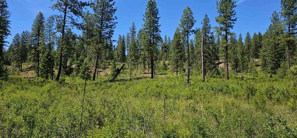 20X Lynx Rd, Inchelium, WA 99138