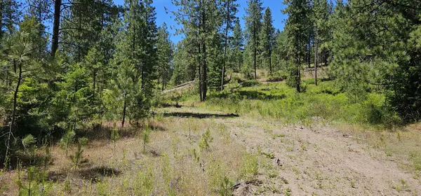 20X Lynx Rd, Inchelium, WA 99138