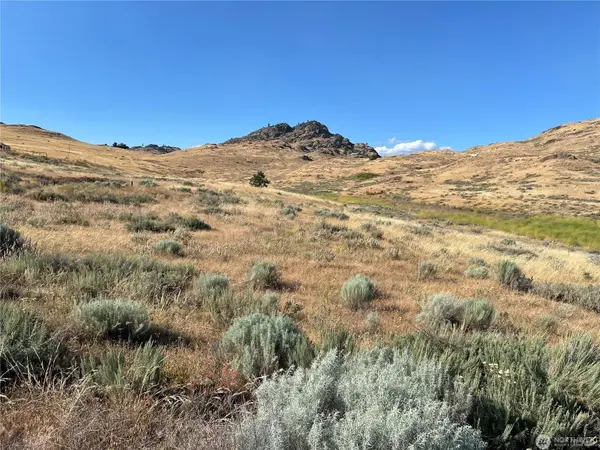 Lot 3 Gunsmoke Rd, Brewster, WA 98812