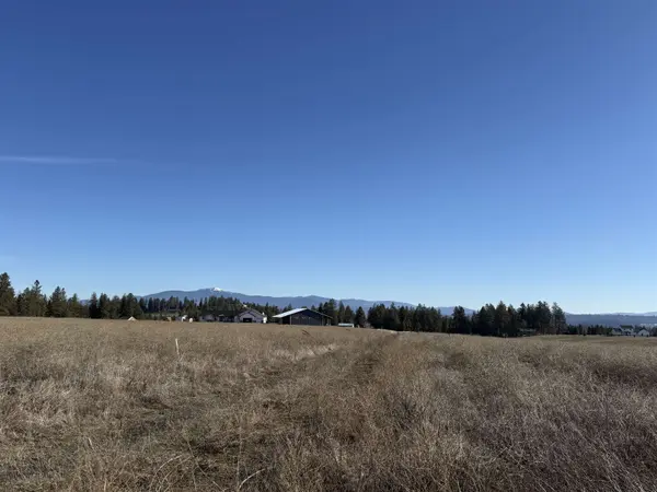 21XXX N Division Ln, Colbert, WA 99005