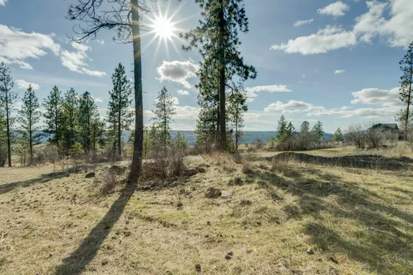 6XXX Pine Ridge Dr, Nine Mile Falls, WA 99026