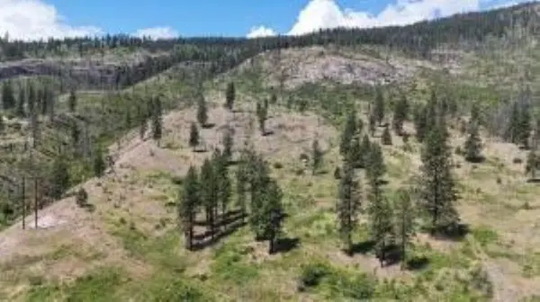 35000 Hwy 20 Hwy, Kettle Falls, WA 99141