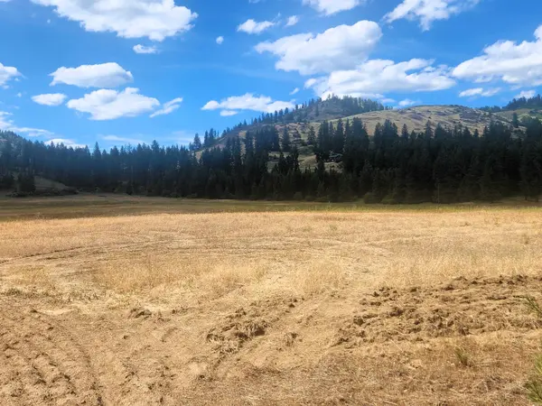 34XX Northport Flat Creek Rd, Kettle Falls, WA 99141-9998