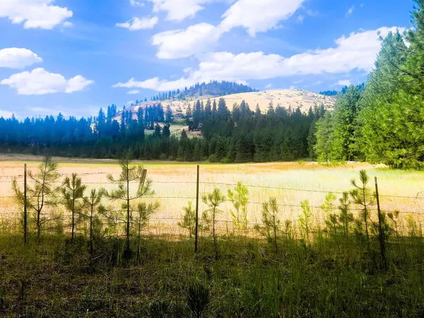 34XX Northport Flat Creek Rd, Kettle Falls, WA 99141-9998
