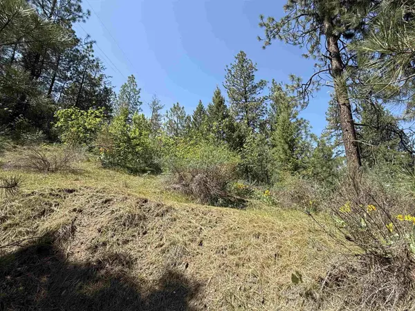 42078 N Porcupine Bay Rd, Davenport, WA 99122