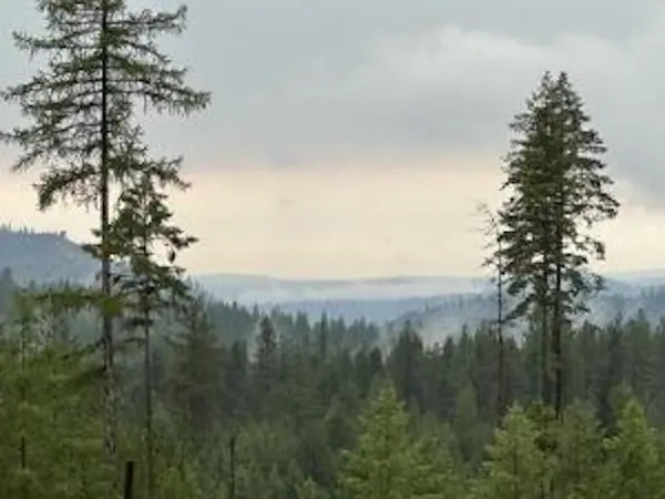 4684 Grouse Creek Rd, Chewelah, WA 99109