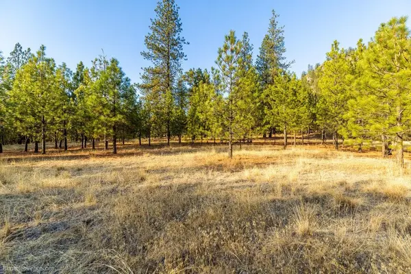 13601 N RIVERBLUFF Ln, Spokane, WA 99208