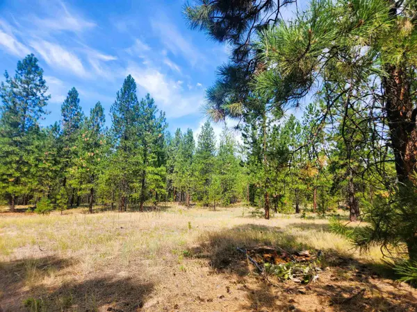 1866K Northport Flat Creek Rd, Kettle Falls, WA 99141-9998
