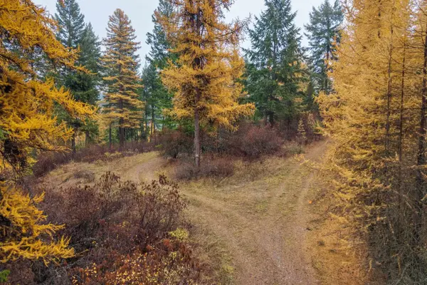 700 L Dry Gulch Rd, Colville, WA 99114