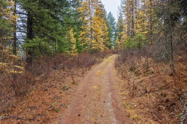 700 L Dry Gulch Rd, Colville, WA 99114