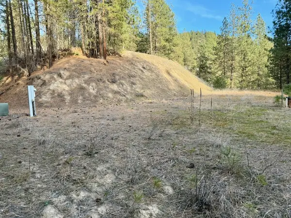 1199 Gold Edge Mine Rd, Kettle Falls, WA 99141