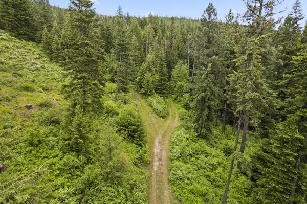 15124 E Emery Rd, Chattaroy, WA 99003