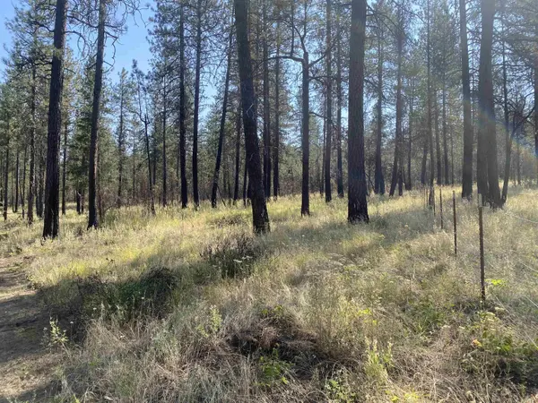 XXXXX E Elk-Chattaroy Rd, Elk, WA 99009