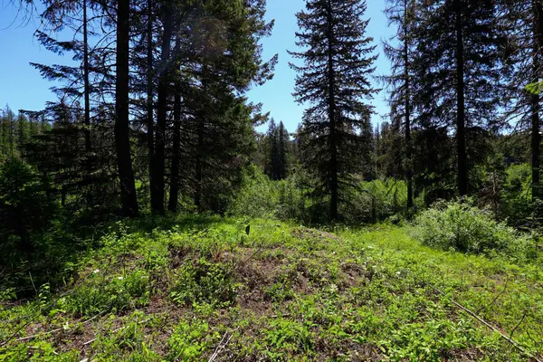 14 ElK Rd #Lot 14 Elk Rd, Newport, WA 99156