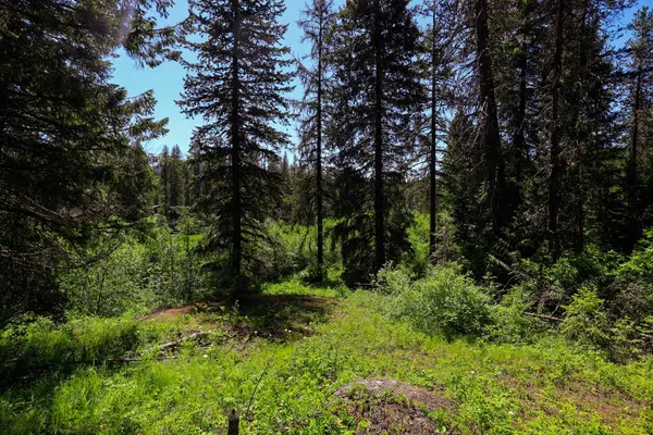 14 ElK Rd #Lot 14 Elk Rd, Newport, WA 99156