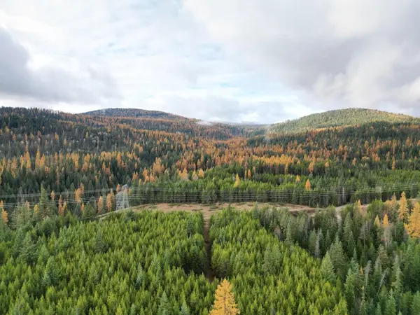 TBD Schlegel Ranch Rd, Ione, WA 99139-0000