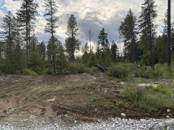 NKN Lot 2 Veit Rd, Newport, WA 99156