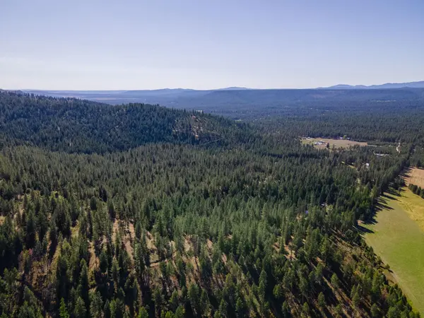 XXXX Dome Lane WAY, Springdale, WA 99148