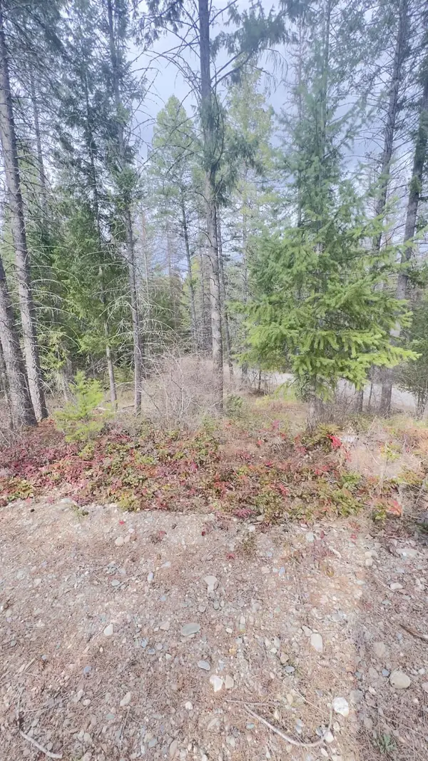 NKN Wilderness Ave, Ione, WA 99139