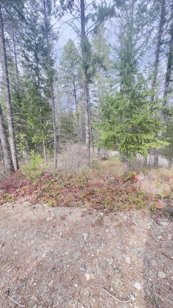 NKN Wilderness Ave, Ione, WA 99139