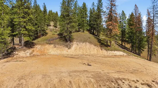 2600 Pine Top Blk Rd, Chewelah, WA 99109