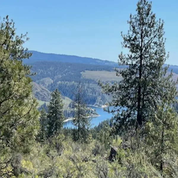 Lot 17 Bighorn Dr, Davenport, WA 99122