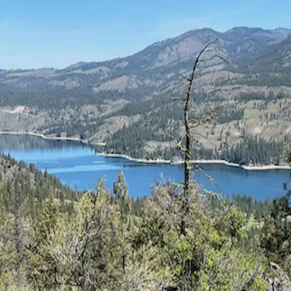 Lot 10 Timberbay Ranches Dr, Davenport, WA 99122
