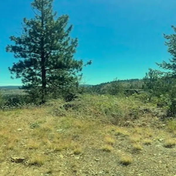 Lot 27 Bighorn Dr, Davenport, WA 99122