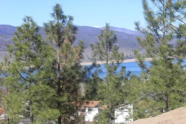39555 N Peach Orchard WAY, Seven Bays, WA 99122