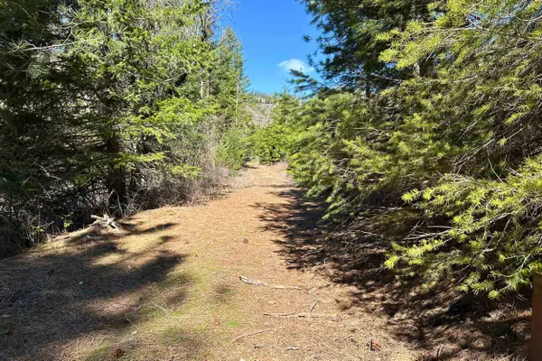 4143 North Deer Lake Rd, Loon Lake, WA 99148