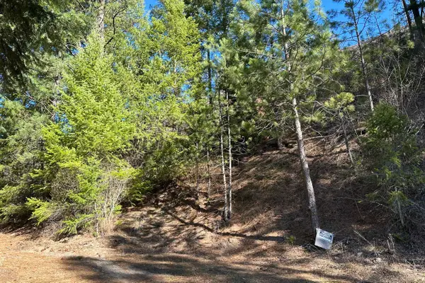 4143 North Deer Lake Rd, Loon Lake, WA 99148