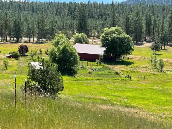 1239 Kewa Meteor Rd, Inchelium, WA 99138