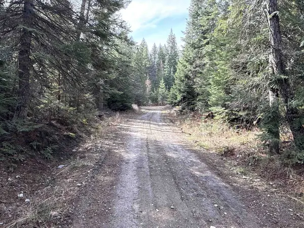 NKA Eagle Ridge WAY, Springdale, WA 99173