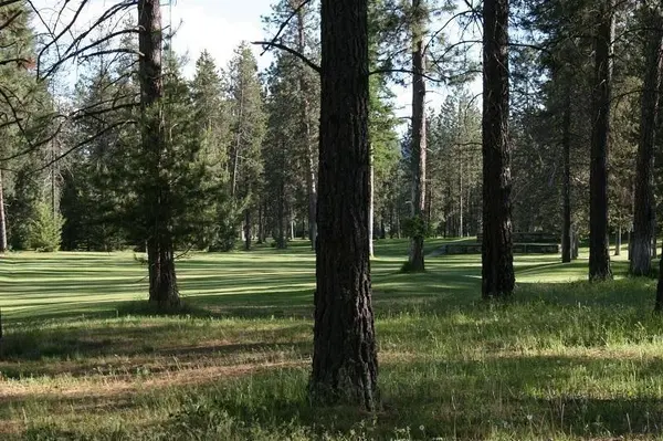 205 Eagle Dr, Chewelah, WA 99109-9602