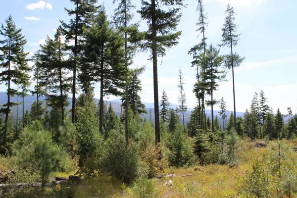 xxx Ellery Ranch Rd, Elk, WA 99009