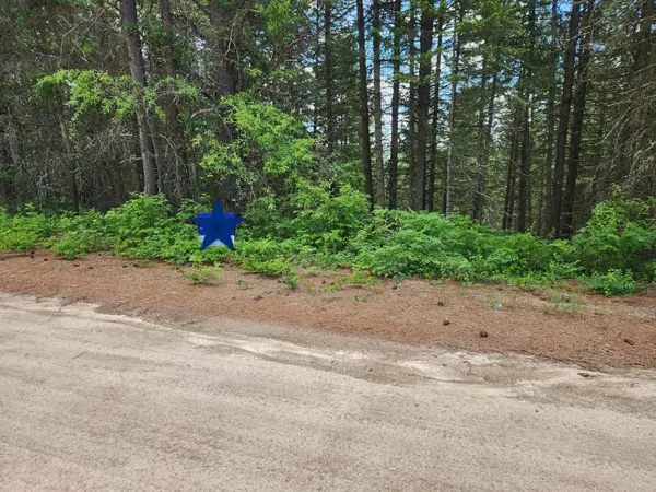 NNA Buck Creek Rd, Loon Lake, WA 99148