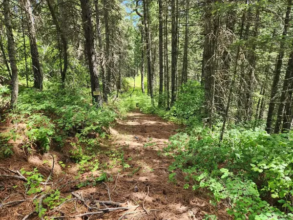 NNA Buck Creek Rd, Loon Lake, WA 99148