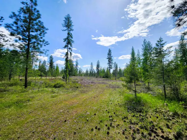 3669 E Jump Off Joe Rd, Valley, WA 99181
