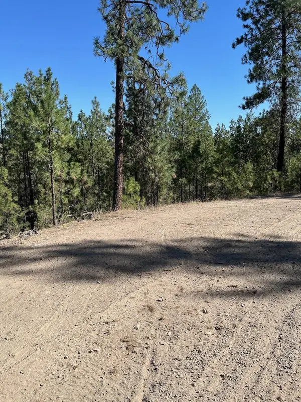 Lot 3 Top Notch Bob White Ln, Davenport, WA 99122